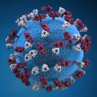 Virus blau